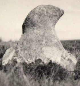 A Dartmoor Minilithica