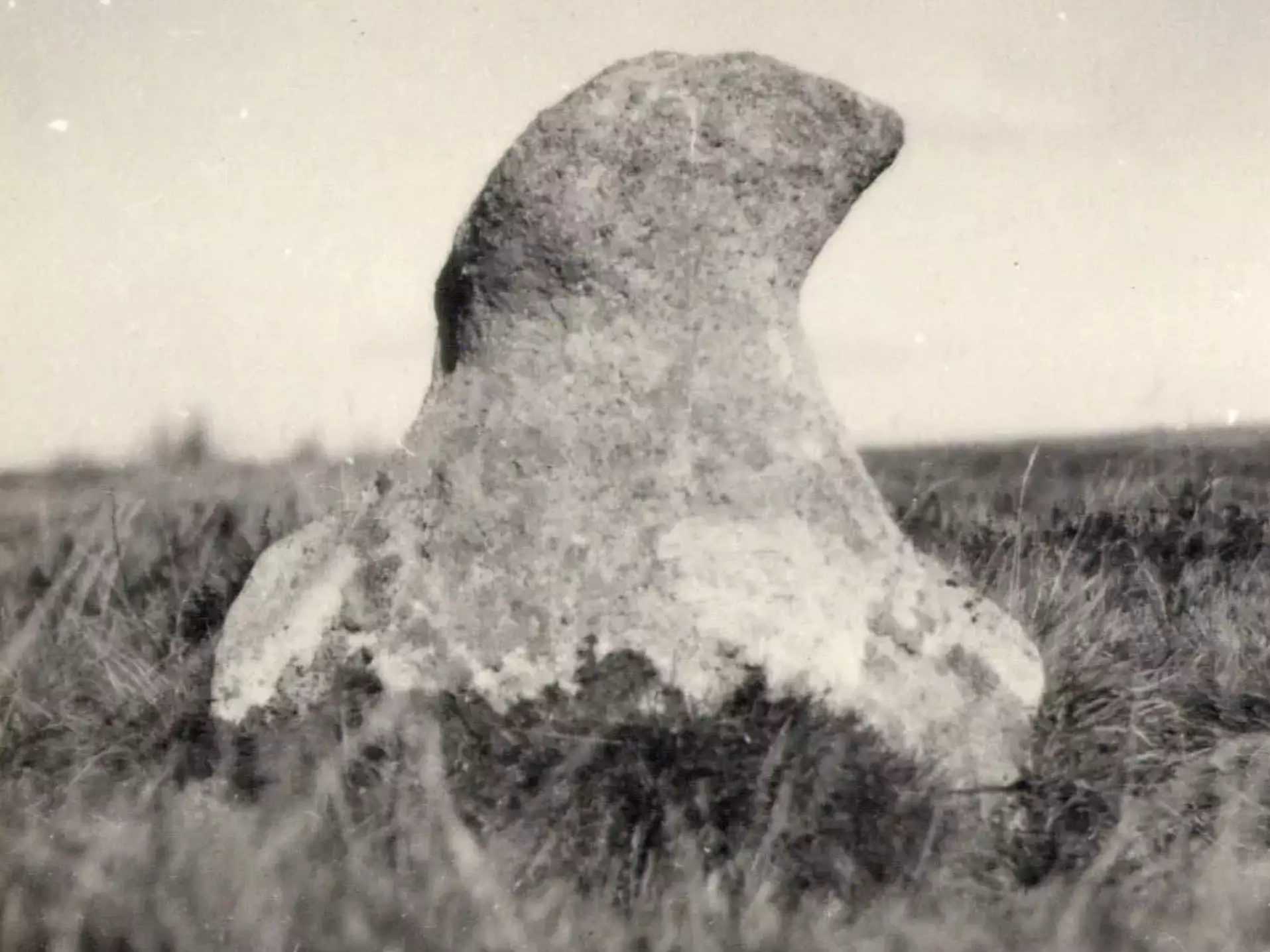 A Dartmoor Minilithica