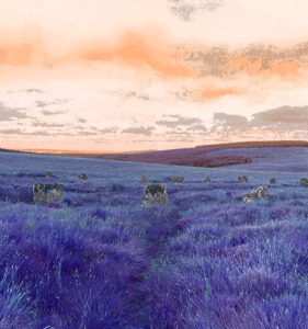 Traces of our ancestors – 12,000 years of Dartmoor archaeology