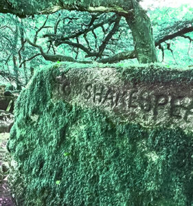 Edward Bray’s Druidical Stones – Bardic Runes and Poetic Dedications