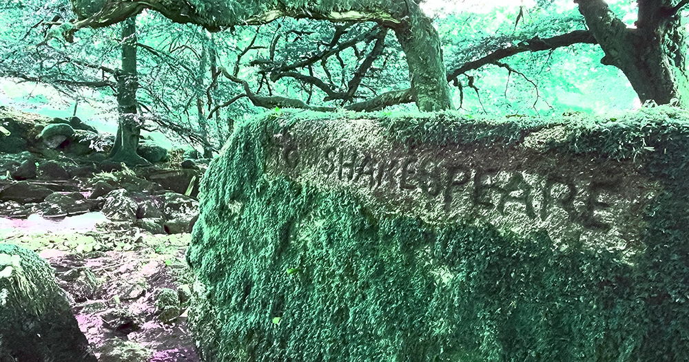 Edward Bray’s Druidical Stones – Bardic Runes and Poetic Dedications