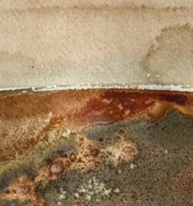 Wild inks from Dartmoor – Forage and Print