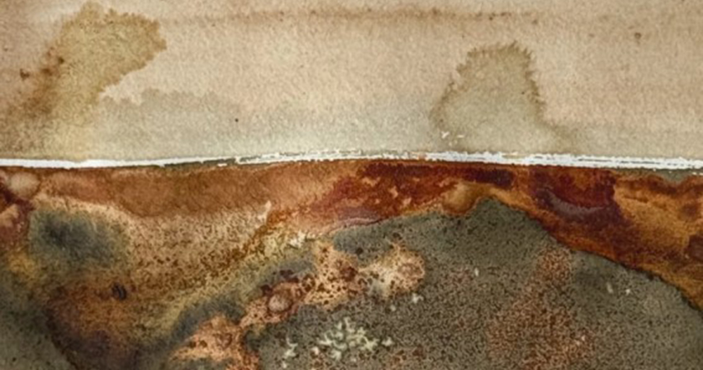 Wild inks from Dartmoor – Forage and Print