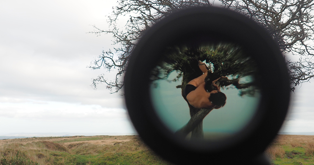 Lone Hawthorn Vision Hack